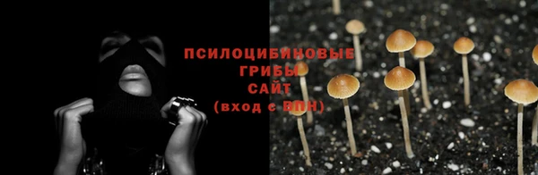 каннабис Алексин