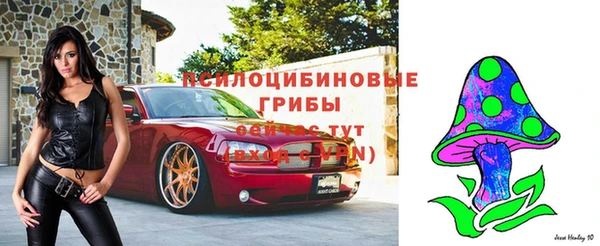 твердый Алзамай